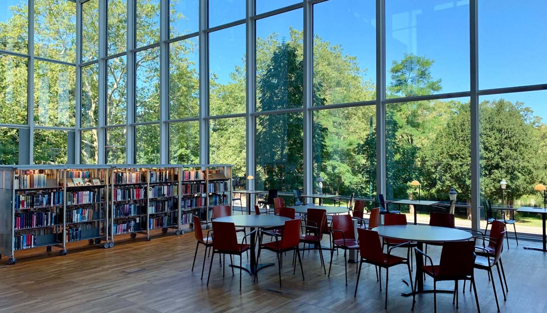 College advice illustrated by a campus library